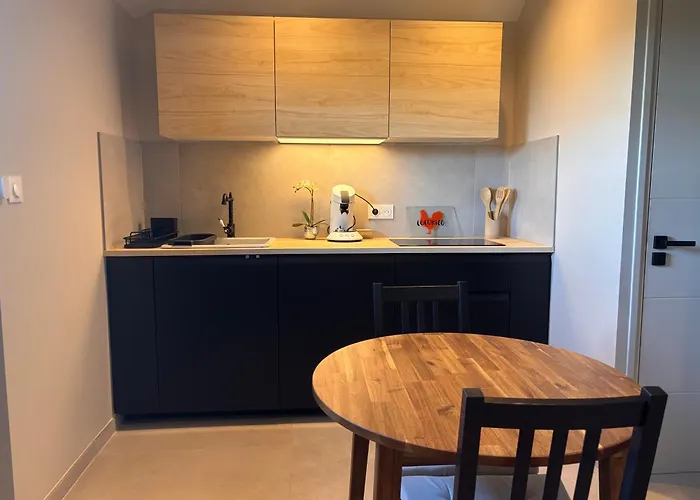 Duplex Neuf Et Cosy Vue Mont Des Cats Meteren